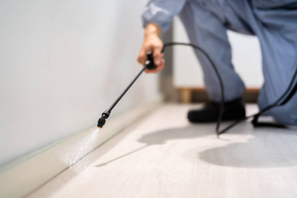 Licensed Pest Control service in Lookout Mountain, AL - Show Me Pest Control