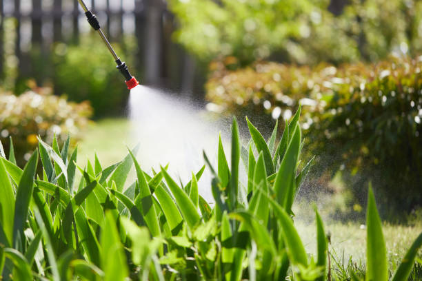 24/7 Emergency Wasp Removal experts in Lookout Mountain, AL
