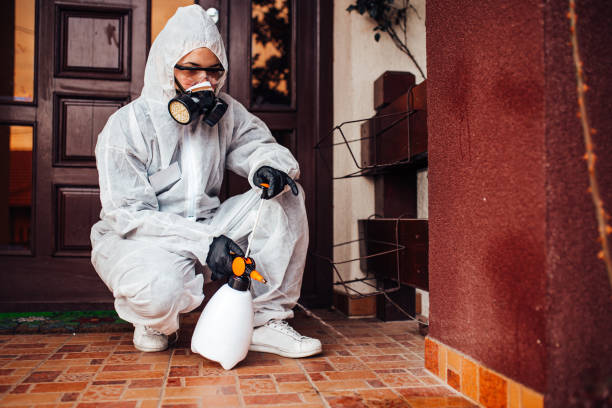 Reliable Wasp Removal contractor in Lookout Mountain, AL by Show Me Pest Control