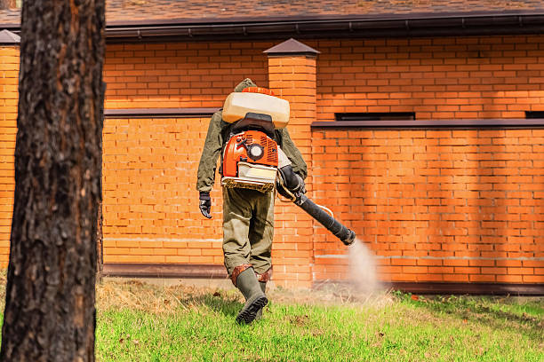 Top rated local Wasp Removal specialists in Lookout Mountain, AL